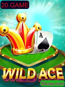 Explorando o Fascinante Mundo de WildAce